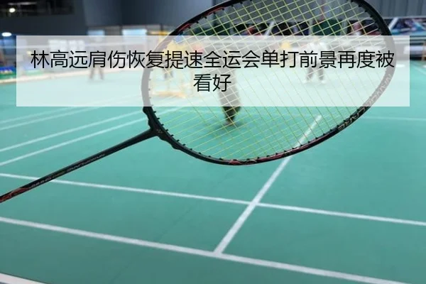 林高远肩伤恢复提速全运会单打前景再度被看好